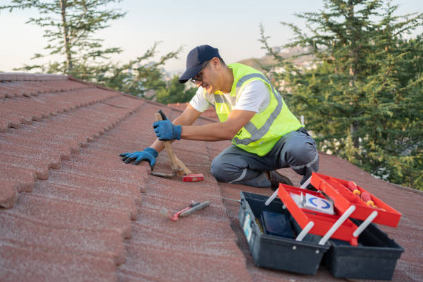 Best Roof Maintenance Services  in Stone Ridge, NY